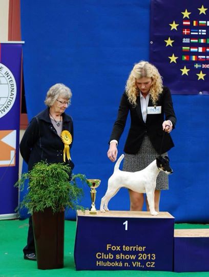 Foto: Moni winning Best of Breed at Czech Fox Terrier Club Show // 15.09.2013
Judge: Mrs. Shirley Watson (UK)
Moni is now Czech Champion and Czech Club Winner!
Photo: Iveta Nováková